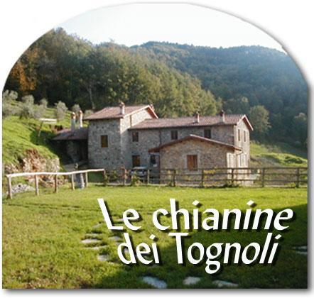 Le Chianine Dei Tognoli Ξενοδοχείο Gragnola Εξωτερικό φωτογραφία